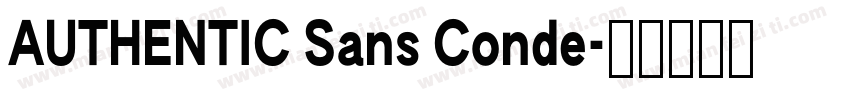 AUTHENTIC Sans Conde字体转换